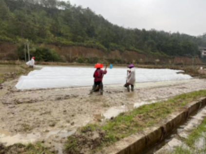 全力以赴保春耕