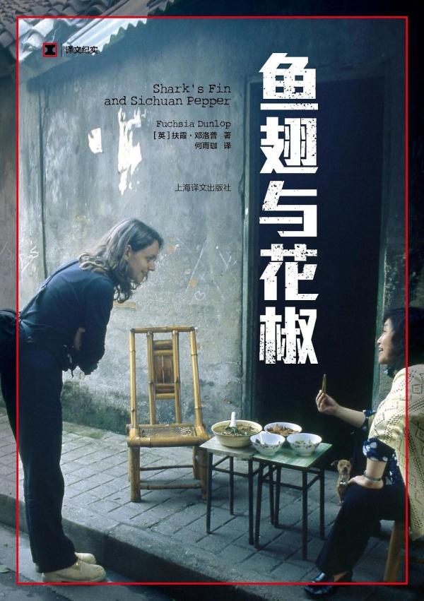 何雨珈自述:我做翻譯的十五年