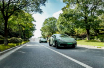 e平臺(tái)3.0 Evo技術(shù)賦能 家用年輕首選 海豹06GT杭州上市品鑒會(huì)落幕