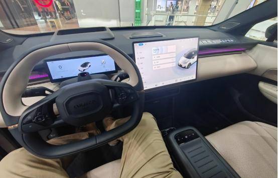 領(lǐng)克Z20、Model Y、寶馬iX1全攻略!年輕人選什么車搞清楚!