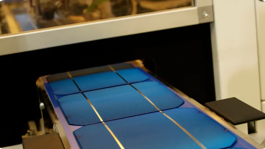 圖片來源：Canva