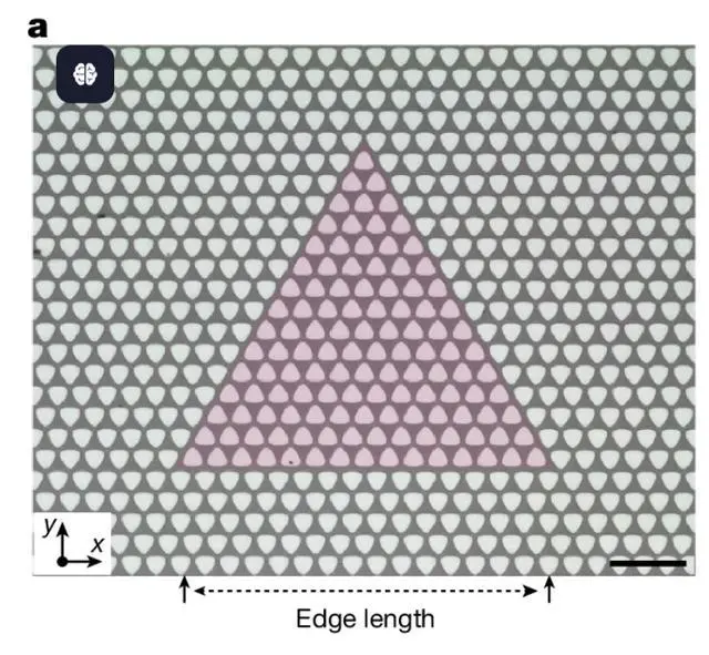 首個室溫超低損耗拓撲聲子波導登上Nature,損耗降至百萬分之一 圖|拓撲聲子波導圍繞成三角形路徑的顯微鏡圖像。(來源: Nature)